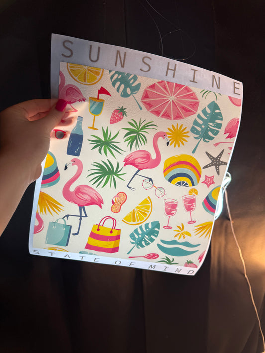 Sunshine State of Mind