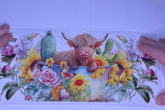 Highland Cow in tub #238