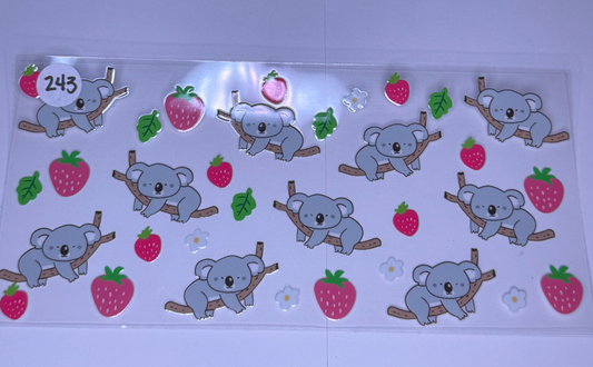 Koalas #243