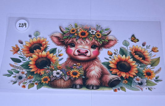 Sunflower Highland Cow #239
