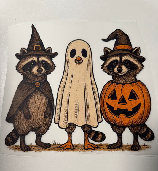 Racoon friends
