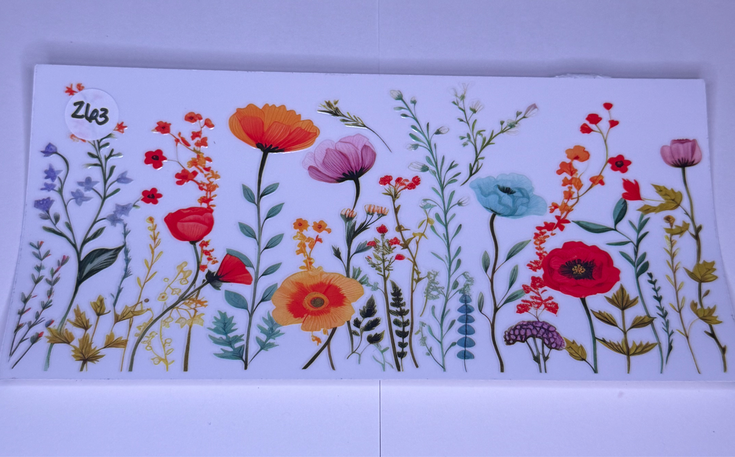 Blossoms/wildflowers #263